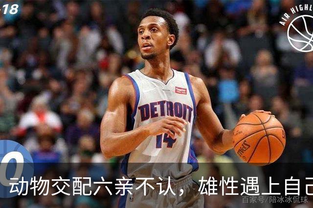 动物交配六亲不认，雄性遇上自己母亲怎么办？马不欺母是真的吗？