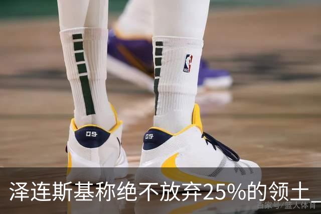 泽连斯基称绝不放弃25%的领土 感谢星链速度恢复