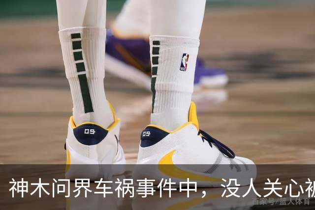 神木问界车祸事件中，没人关心被烧死的那个人