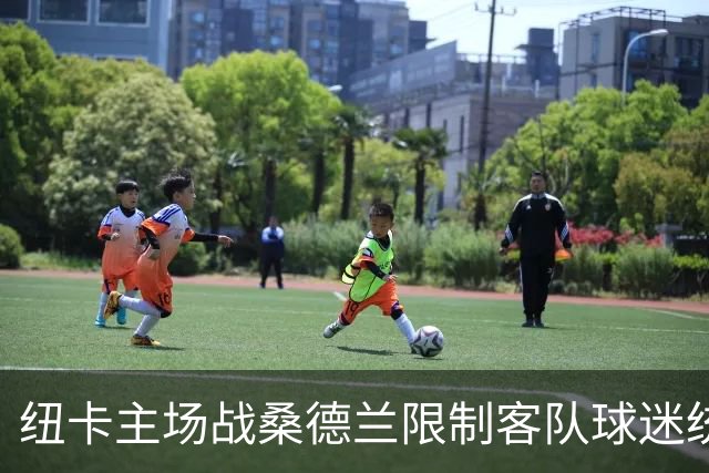 纽卡主场战桑德兰限制客队球迷统一乘大巴前往，警方拒绝重新审查