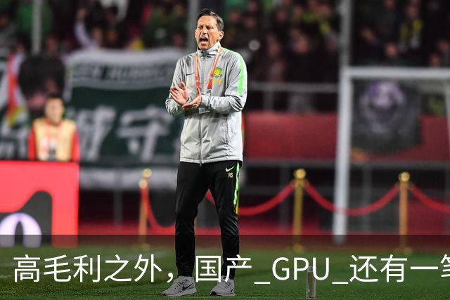 高毛利之外，国产 GPU 还有一笔 “软件账”